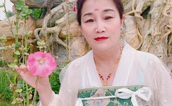 正当防卫免费观看全集